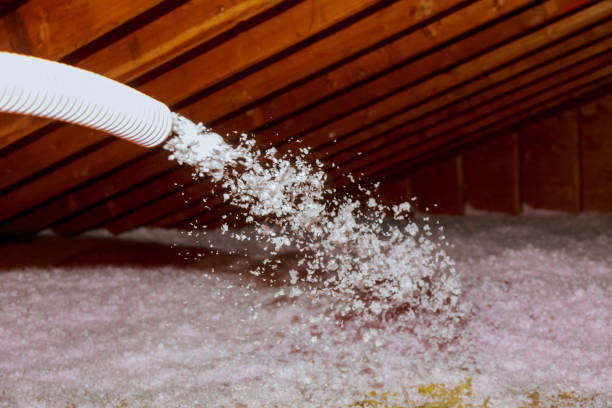 Types of Insulation We Offer in Bean Station, TN