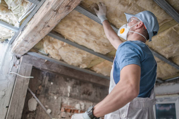 Best Specialized Insulation Services in Bean Station, TN