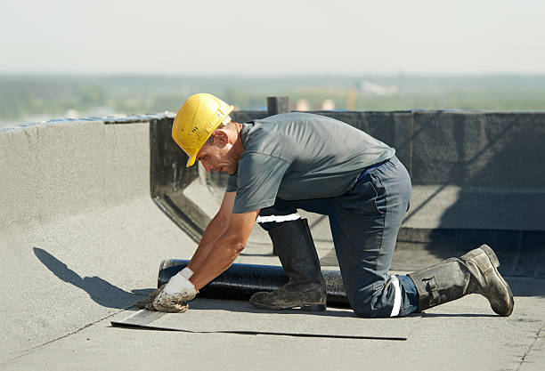 Best Cellulose Insulation in Bean Station, TN