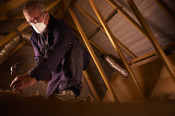 Best Spray Foam Insulation in Bean Station, TN